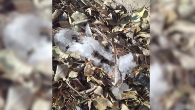 Villa Ángela: Se congeló el agua de riego