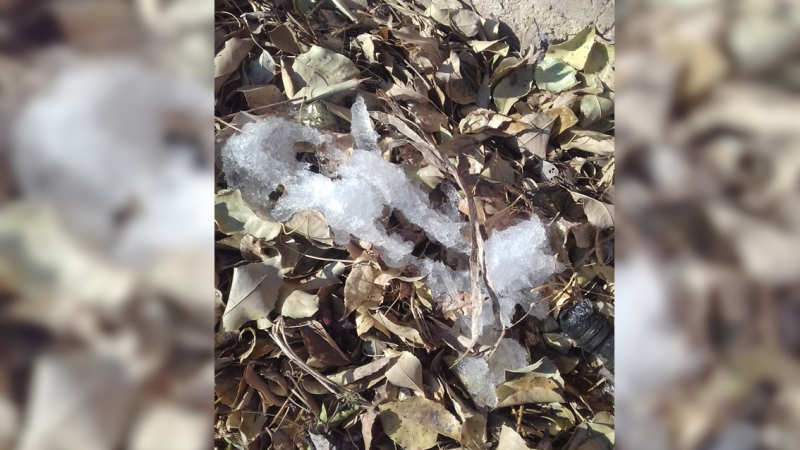 Villa Ángela: Se congeló el agua de riego