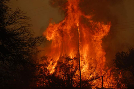 incendio4.jpg