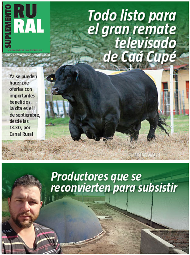 Todo listo para el gran remate televisado de Caá Cupé