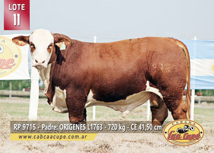 lote11.jpg
