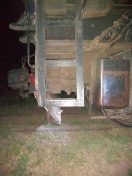 tren sin trompa.jpg