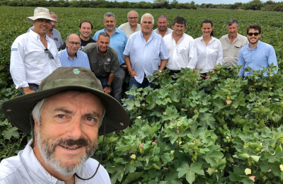 La producción algodonera frente a una bisagra histórica. Oportunidades y desafíos para lograrlo