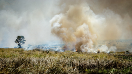 incendio.jpg