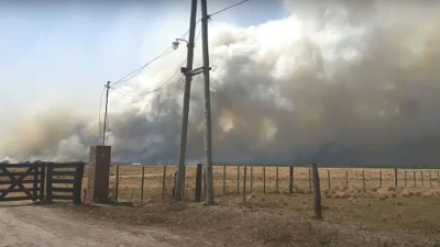 El fuego se llevó el trabajo de décadas en los campos