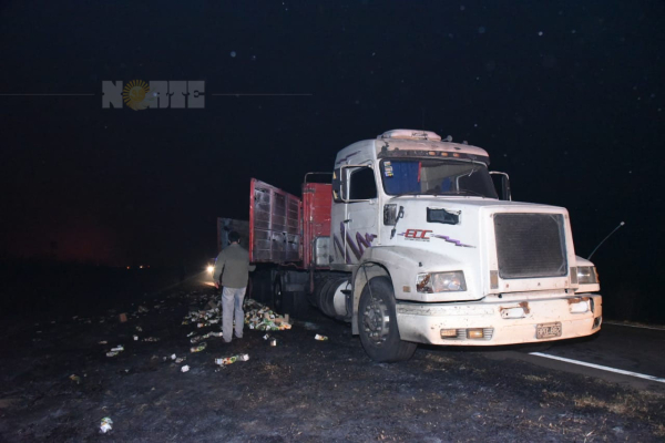 Gran parte de la mercadería fue alcanzada por las llamas de un nuevo incendio rural.