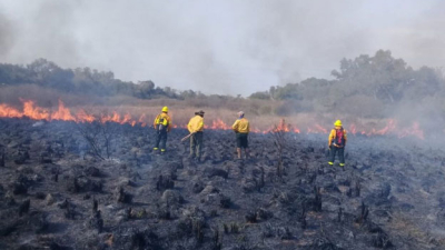 Decretaron la emergencia agropecuaria