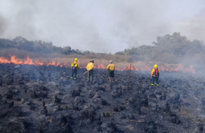 Decretaron la emergencia agropecuaria