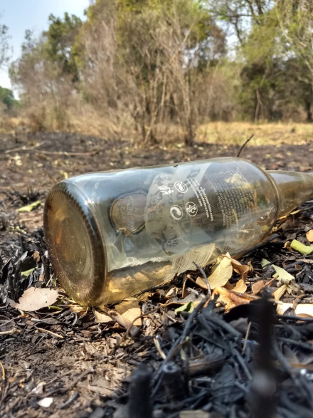 botellas01.jpg