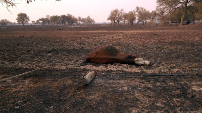 Desolación en Pampa del Infierno por la falta de lluvias