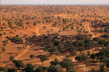 sahara.jpg