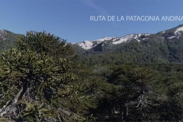 Día Mundial de la Ecología: los lugares más impactantes de Argentina