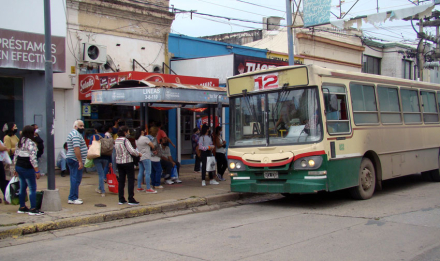 colectivos.jpg