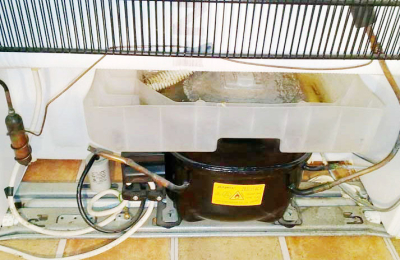 “El aedes transmite 103 virus, es muy peligroso tenerlo en casa”