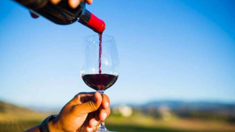 El vino celebra su día con una suba de los despachos al mercado interno y 8 meses de crecimiento