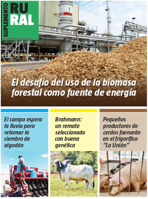 El desafío del uso de la biomasa forestal como fuente de energía