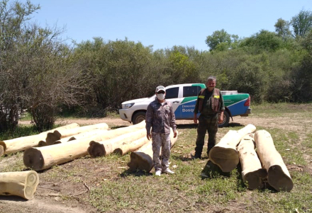 palo santo incautado.jpg