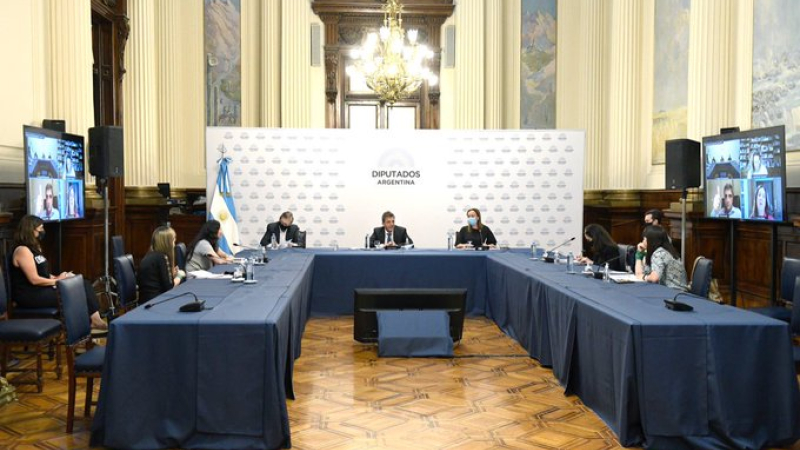 Diputados brindó detalles sobre la ley IVE y de Protección de los 1000 días