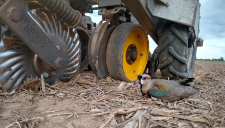 Foto-Comentario-Domingo27.jpg