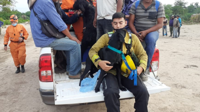 Encontraron excavaciones en un cementerio privado donde podrían estar los restos de Hernán Andrada