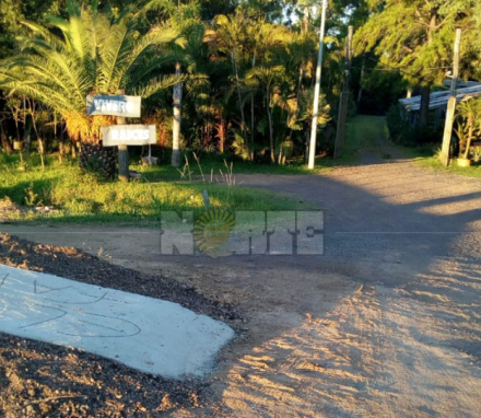 vivero.jpg