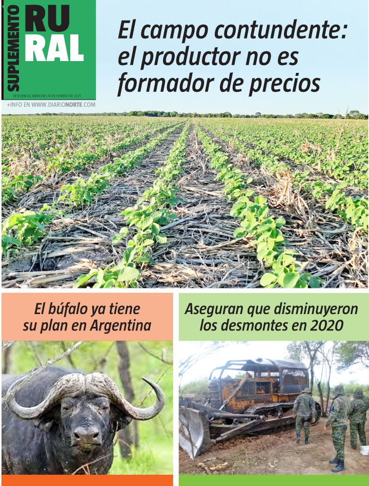 El campo contundente: el productor no es formador de precios