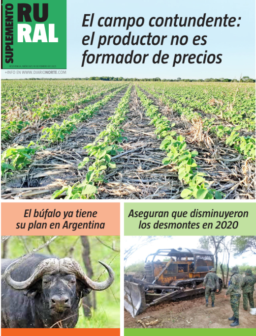 El campo contundente: el productor no es formador de precios