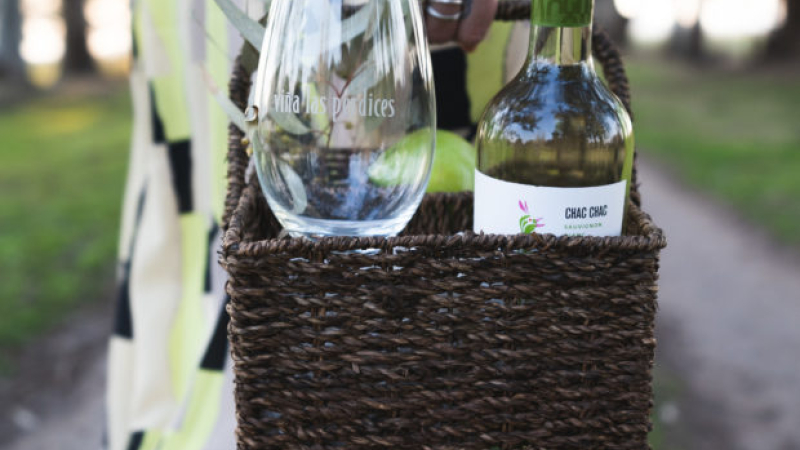 Guía de vinos: con qué vas a brindar este fin de semana largo