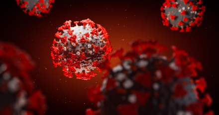 coronavirus.jpg