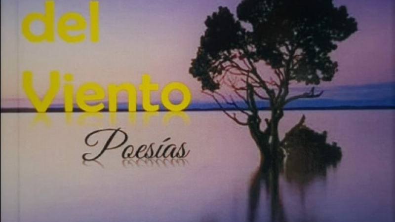 Reflejos del viento