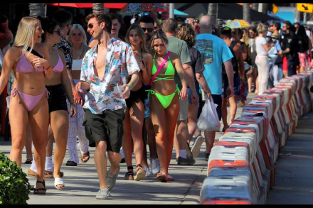 miami4.jpg