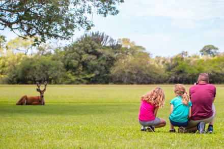 corrientes0010.jpg