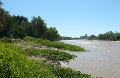 Pronostican meses de bajante en el Paraná y alerta a varios sectores