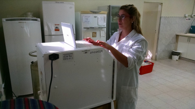 La actividad maderera suma dos herramientas biotecnológicas