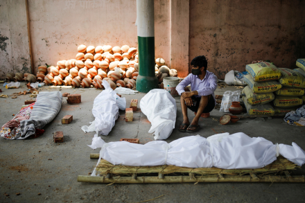 india14.jpg