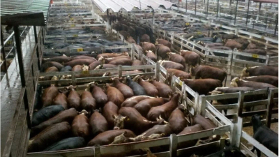 Carne: anticipan nuevos aumentos en los mostradores