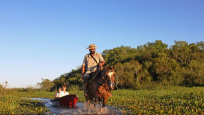 Esteros del Iberá: un paseo por arroyos, pantanos e islas flotantes