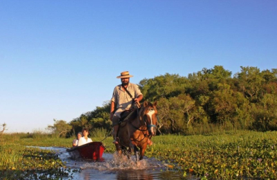 Esteros del Iberá: un paseo por arroyos, pantanos e islas flotantes