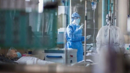 covid.jpg