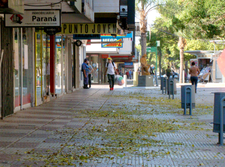 resistencia3.jpg