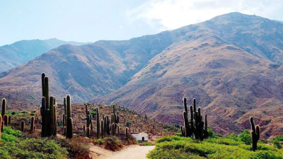 Seclantás, tesoro de los Valles Calchaquíes y cuna del poncho salteño