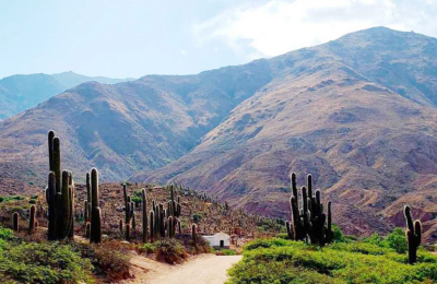 Seclantás, tesoro de los Valles Calchaquíes y cuna del poncho salteño