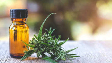 aceite-cannabis.jpg