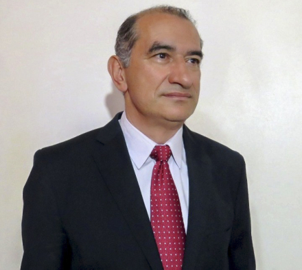 Flores VN.jpg