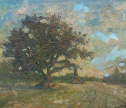 FOTO3.jpg
