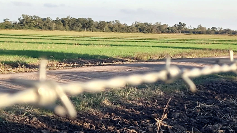 La visión joven ante el nuevo escenario agropecuario en el norte argentino