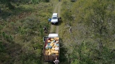Prefectura secuestró un cargamento de marihuana valuado en casi $ 1.000 millones
