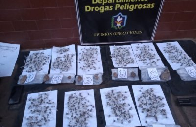 Atrapan a dealer con más de 1000 “bochitas” de marihuana
