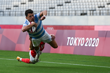 pumas4.jpg