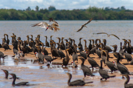 corrientes8.jpg
